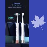 مسواک برقی مدل mdhl806 - تصویر 5